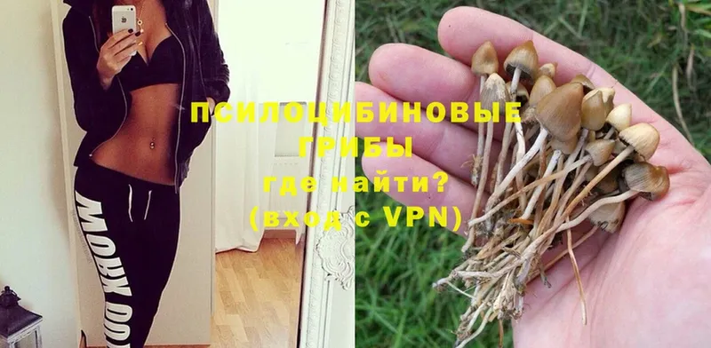 Галлюциногенные грибы Magic Shrooms  Бородино 